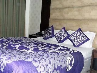 Hotel Benz International Delhi